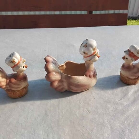 Kitchen Chicken Salt & Pepper plus 1 other Hen - Picture 7 of 8